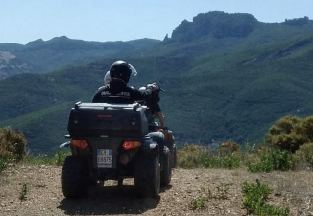  Quad in the mountains 