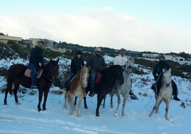 Reitausflug im Schnee 