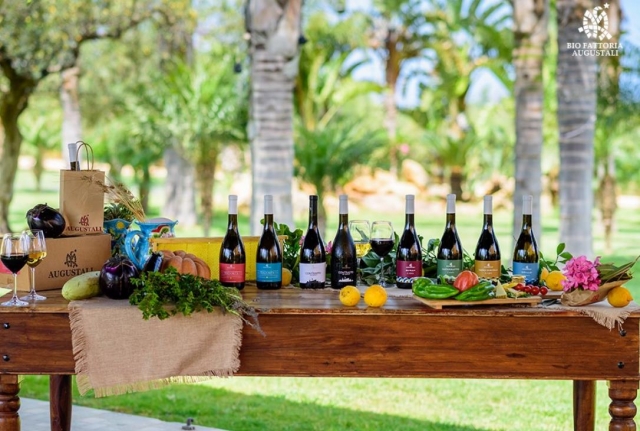  Prueba nuestro aperitivo de la casa 