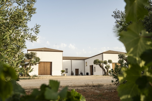  external of the cellar 