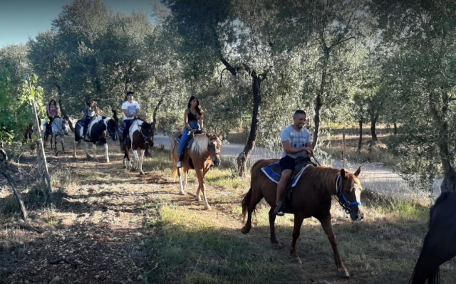  en el campo de Puglia 