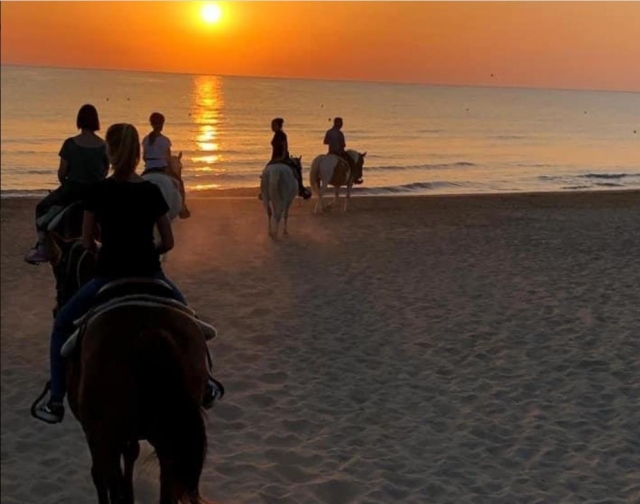  Excursión a Sunset 