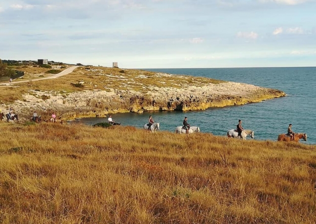  El paisaje no es emisible 
