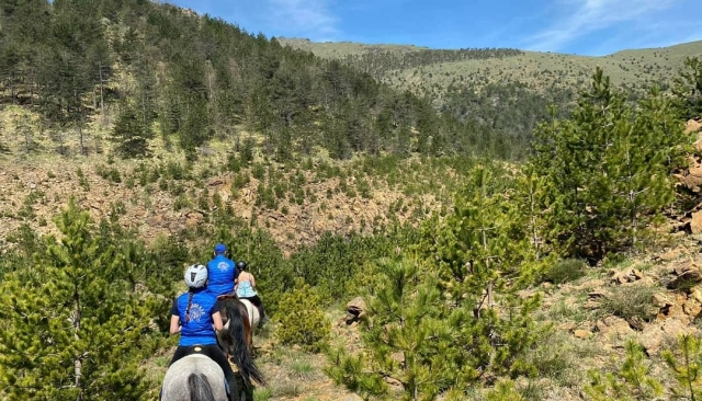  Horseback riding 