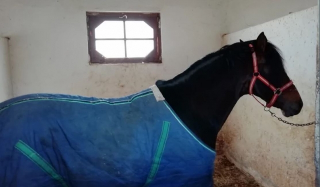  descansando um pouco 