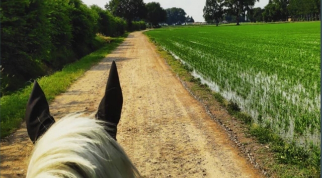  Caminhada na Companhia 
