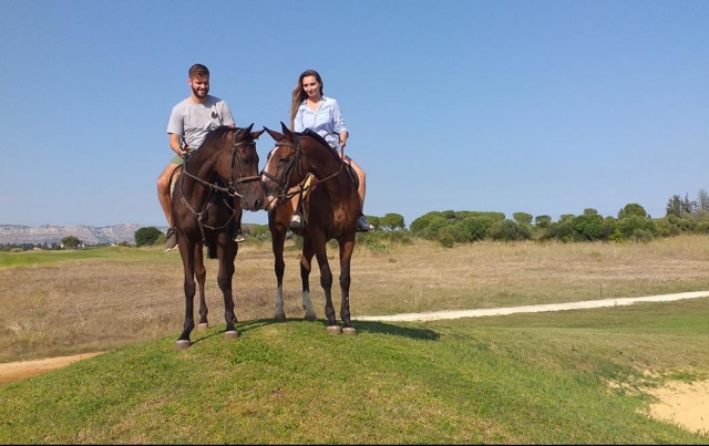  Happy Horses 