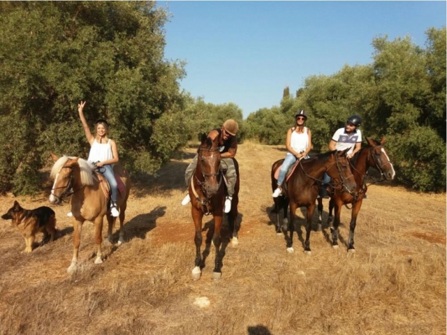  cavalo a cavalo -99-