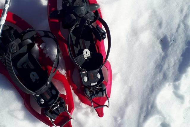  nous vous attendons sur la neige