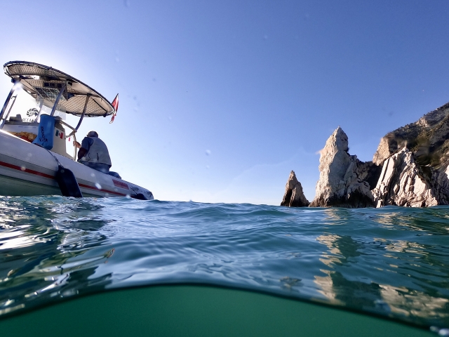  Immergés dans la mer 