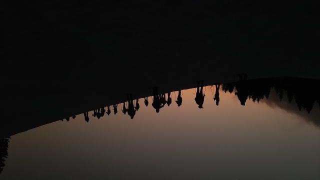 Ameia de neve ao pôr do sol 