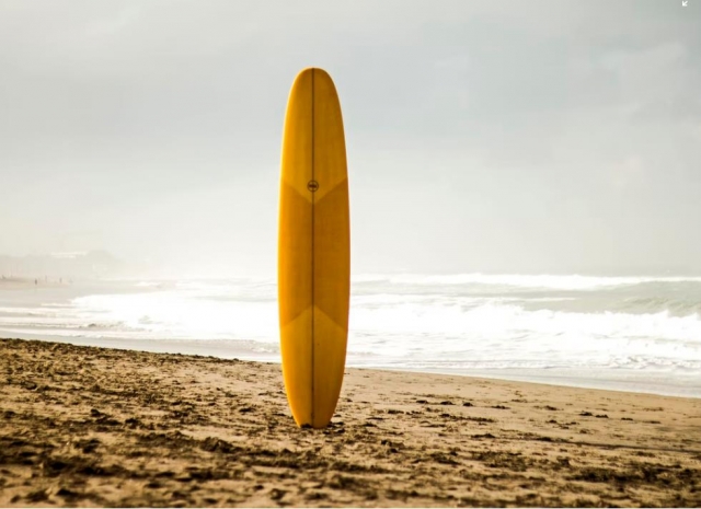e-19759303-surfboard16401111371072.jpg
