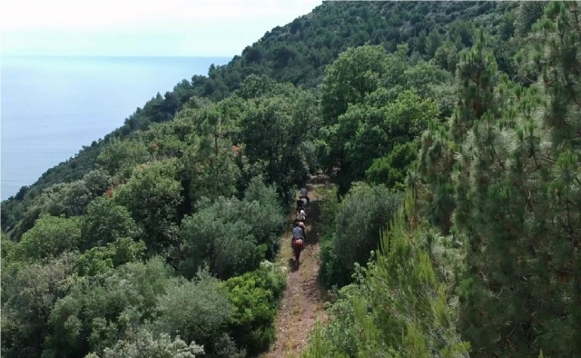  horse ride in maratea 