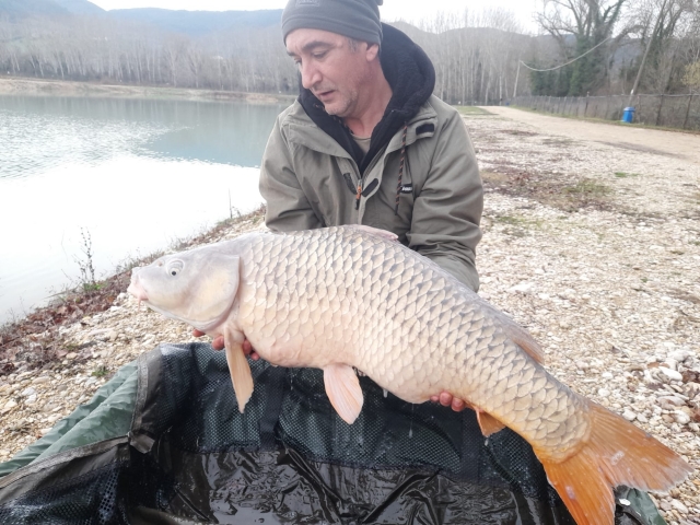 guarda il pesce gigante tratto dal garden lake