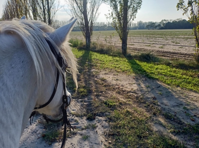 schau dir an was für eine schöne landschaft 