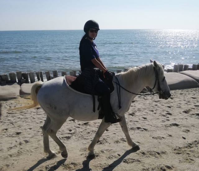  lass uns auf den sattel von parma steigen 