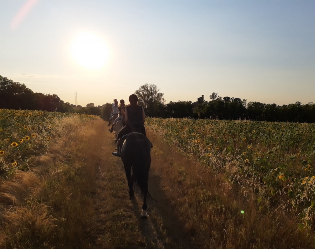 der Sonne entgegen reiten 