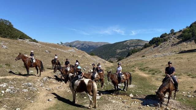  Equestrian Trekking 