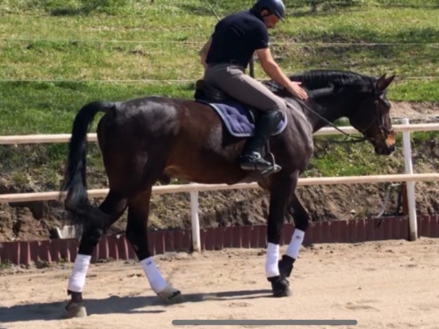  Riding 