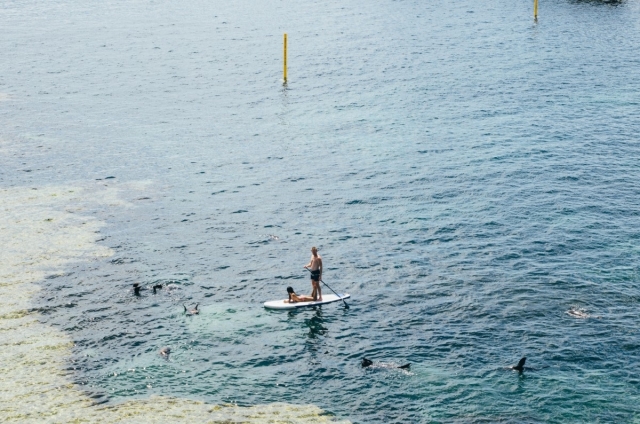  wir lieben sup am garda 