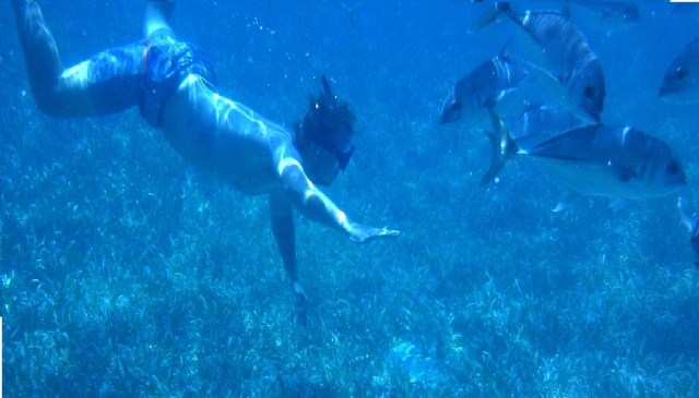  Snorkel en el mar 