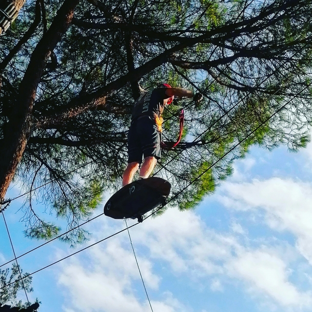  on trees 