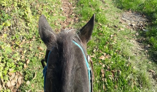 in passeggiata