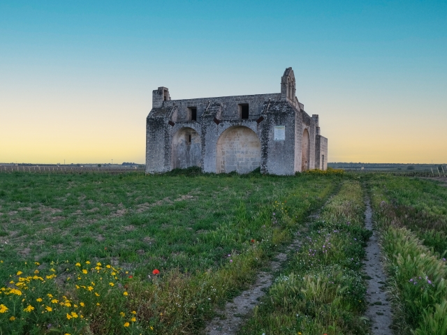  Salento countryside 