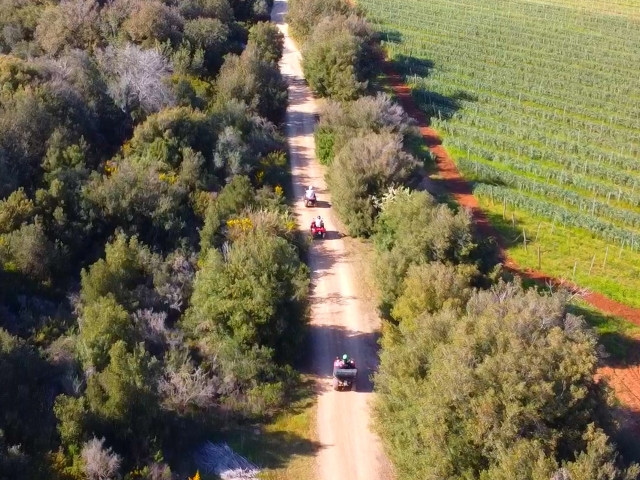  Excursion in the Mediterranean scrub 