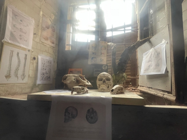 escape room 