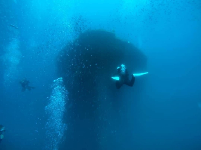 Free Divers 