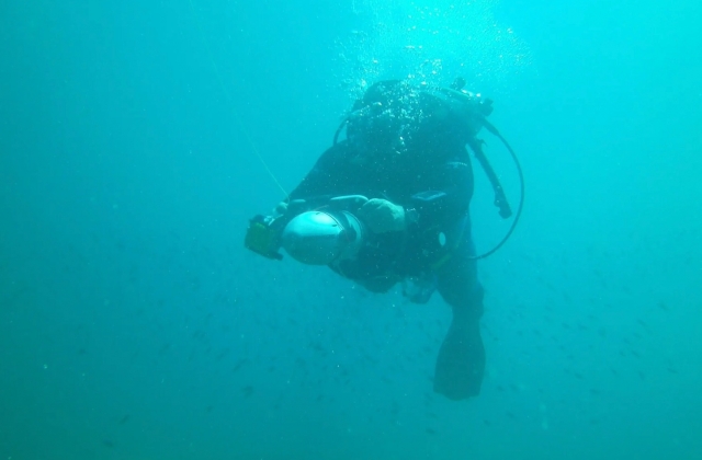  diving 
