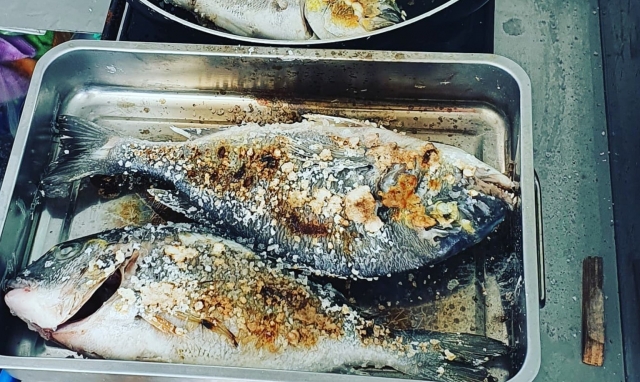  pêche du jour 