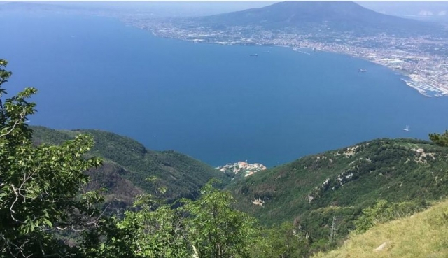  Sorrento