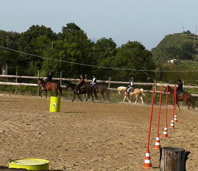 La lezione di equitazione