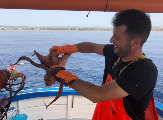 Pesca del polpo