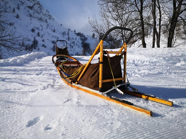 sled dog sled