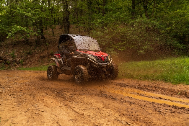 our Piedmontese buggies