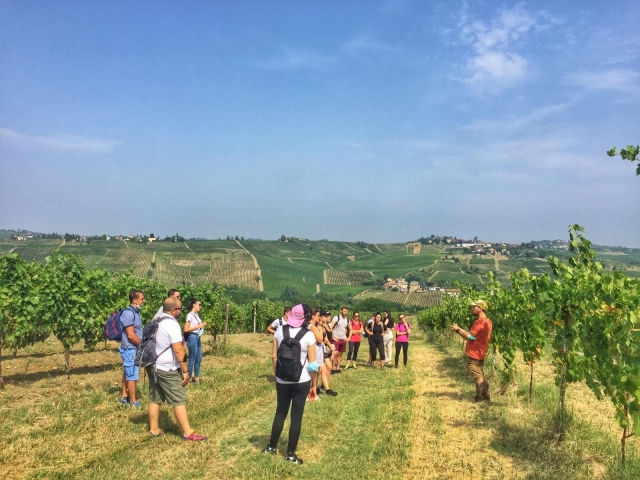 visita alla nostra vigna 