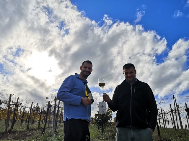 degustazione di vini 