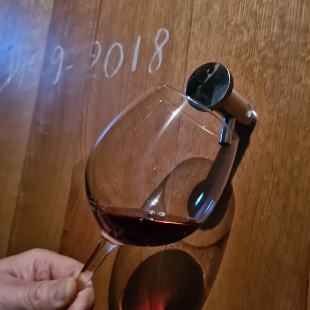  Prueba nuestros vinos 