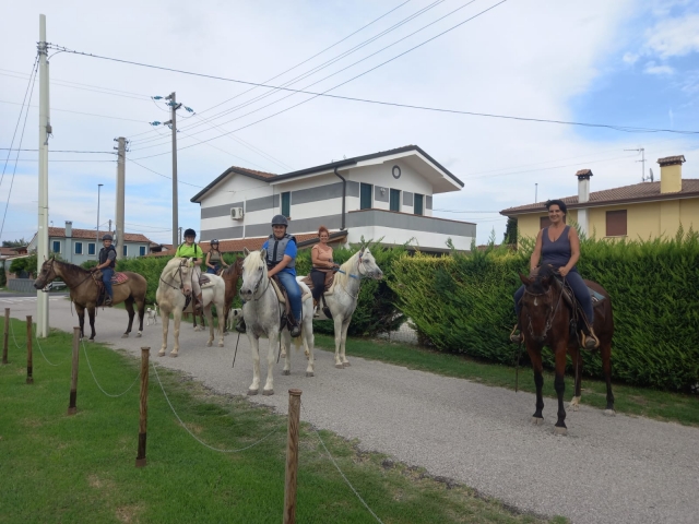 Passeggiata in compagnia 