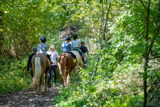 Pony club il Sorbo Passeggiate a cavallo