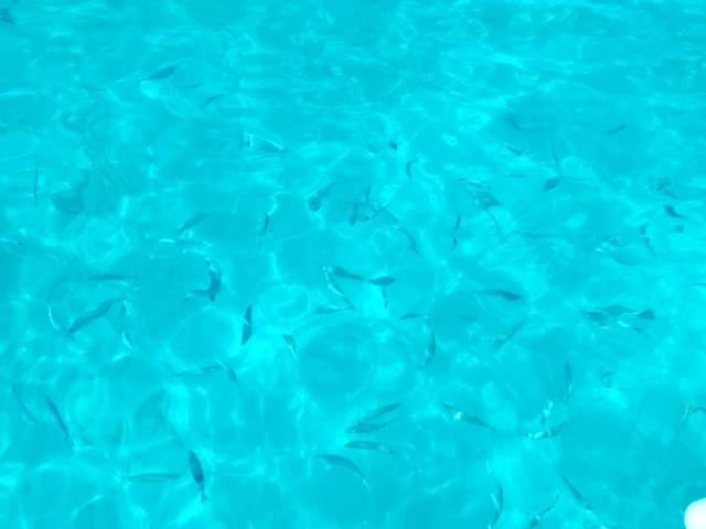  清水保护区
