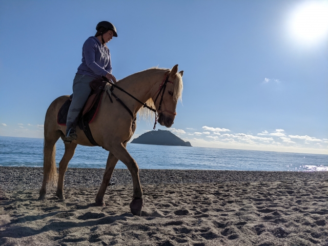 Galloping on the beach 