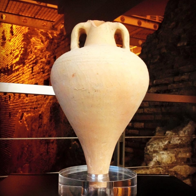  The sinuosity of the ancient amphora 