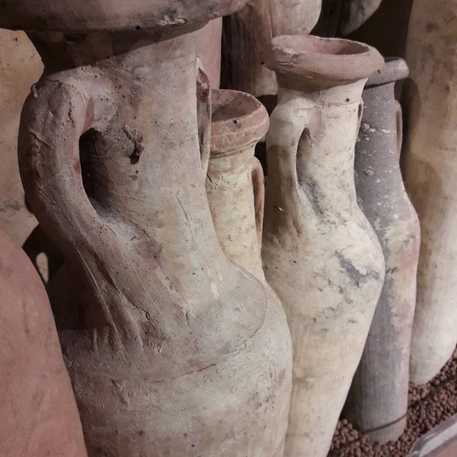  The various amphorae found 