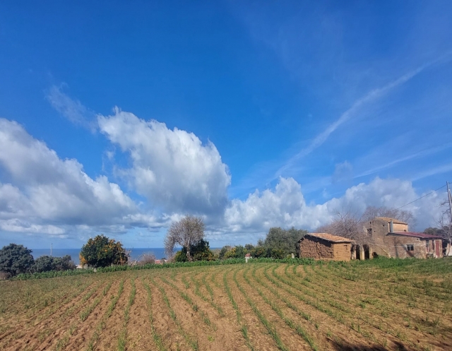  Ricadi Breste 