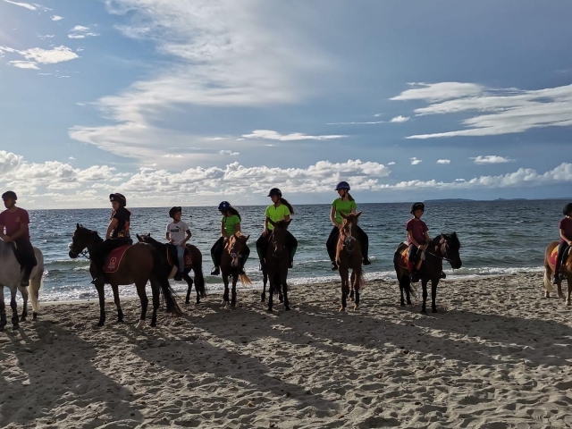  Zu Pferd am Strand 