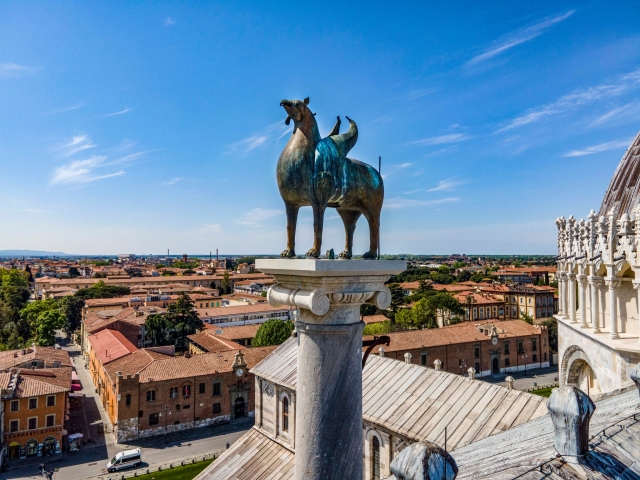  Grifo in the Square of Miracles 
